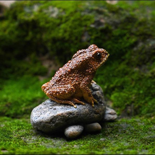 Чайна фігурка Little Frog 0198 фото