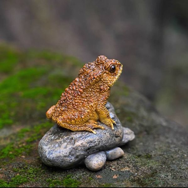 Чайна фігурка Little Frog 0198 фото