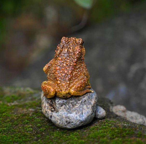 Чайна фігурка Little Frog 0198 фото