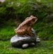 Чайна фігурка Little Frog 0198 фото 2